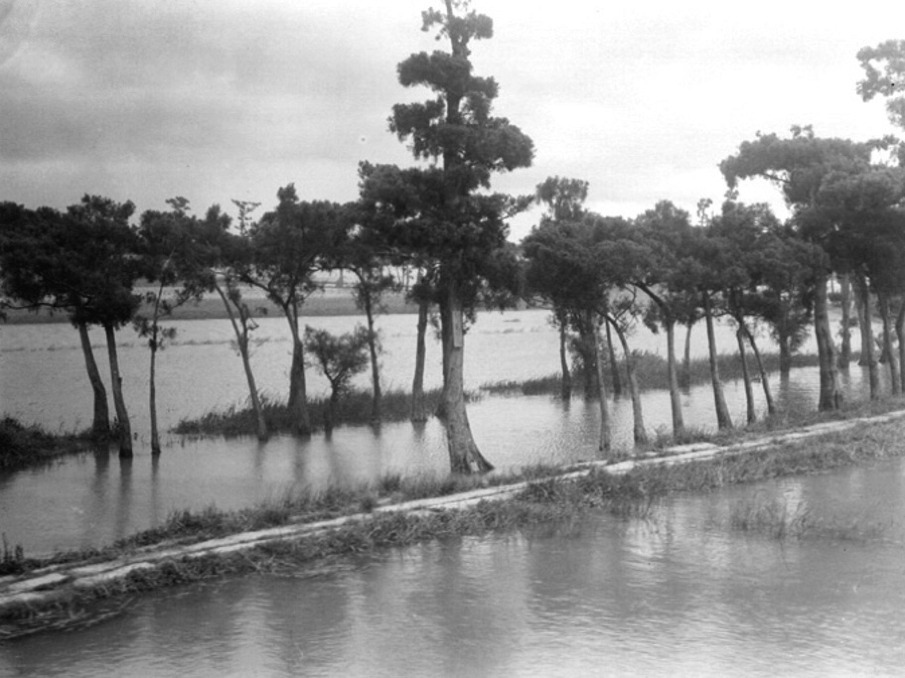 Trees and flooded fields  Republican period 905 - Fu Bingchang | Landscape photography | Portrait photography - Fu Bingchang 傅秉常